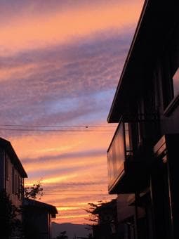 Maintenance Gallery 1